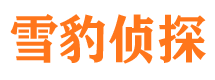 中宁市调查公司